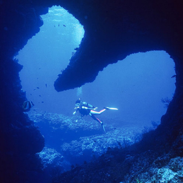 のどちんこホール